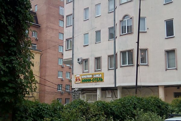 Filin i sova (Wladiwostok)
